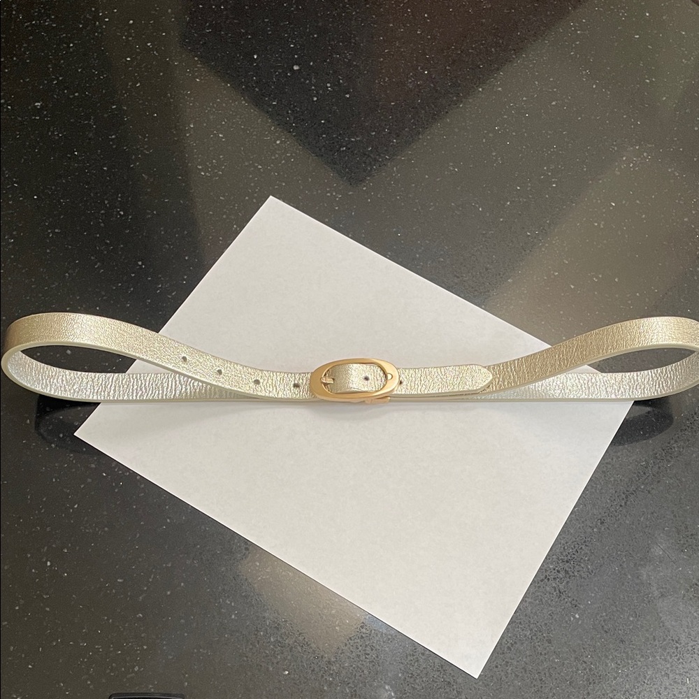 Stylish reversible  Belt with Gold Buckle Size Large.